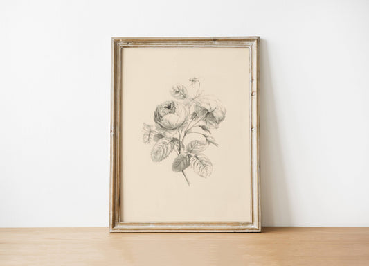 Floral Antique Vintage Art Print 8x10