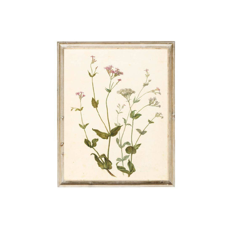 Wildflower Vintage Art 8x10