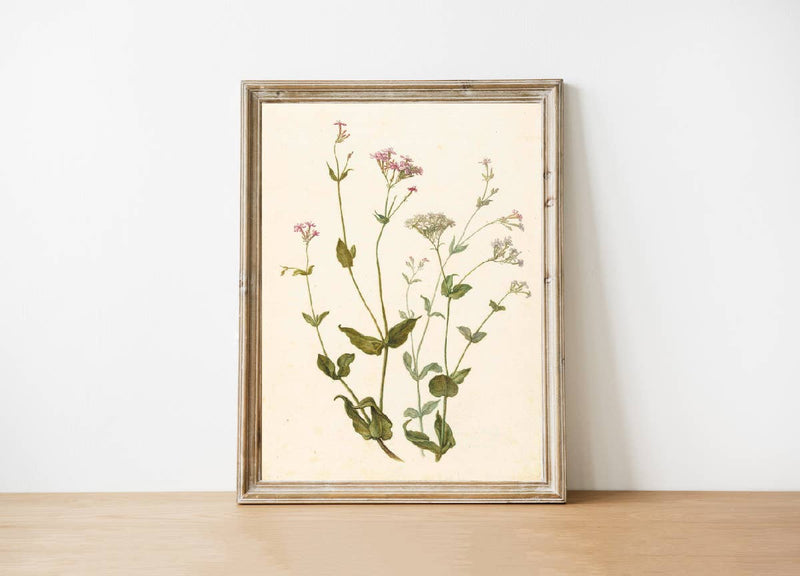 Wildflower Vintage Art 8x10