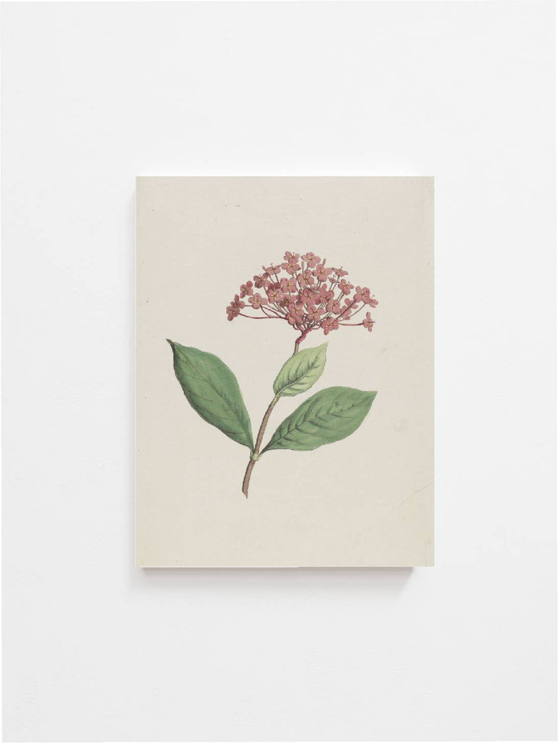 Floral Art Print 8x10