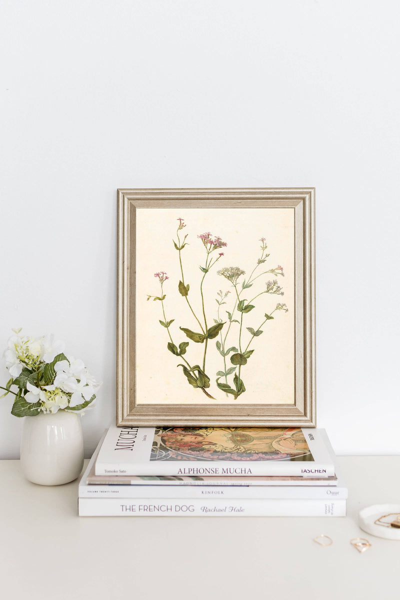 Wildflower Vintage Art 8x10