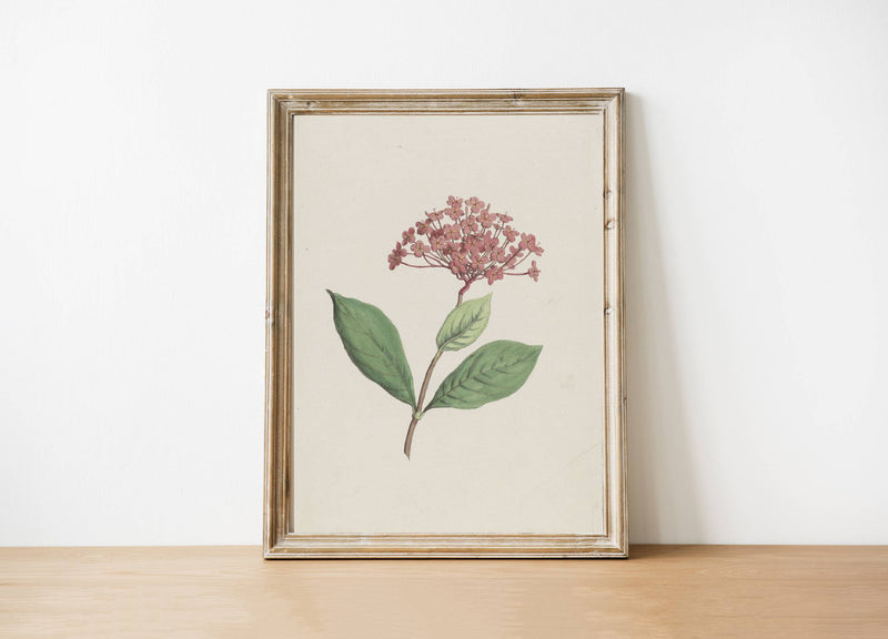 Floral Art Print 8x10